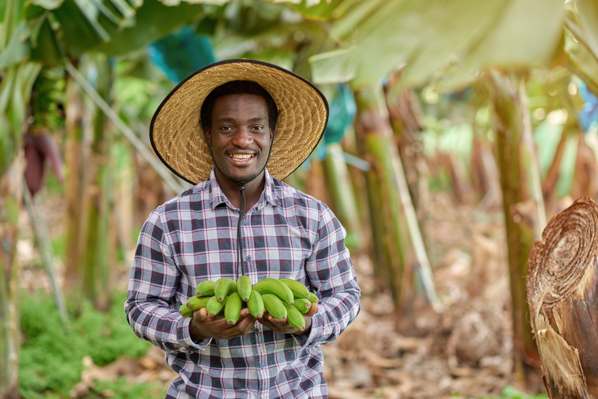 Agro-Business